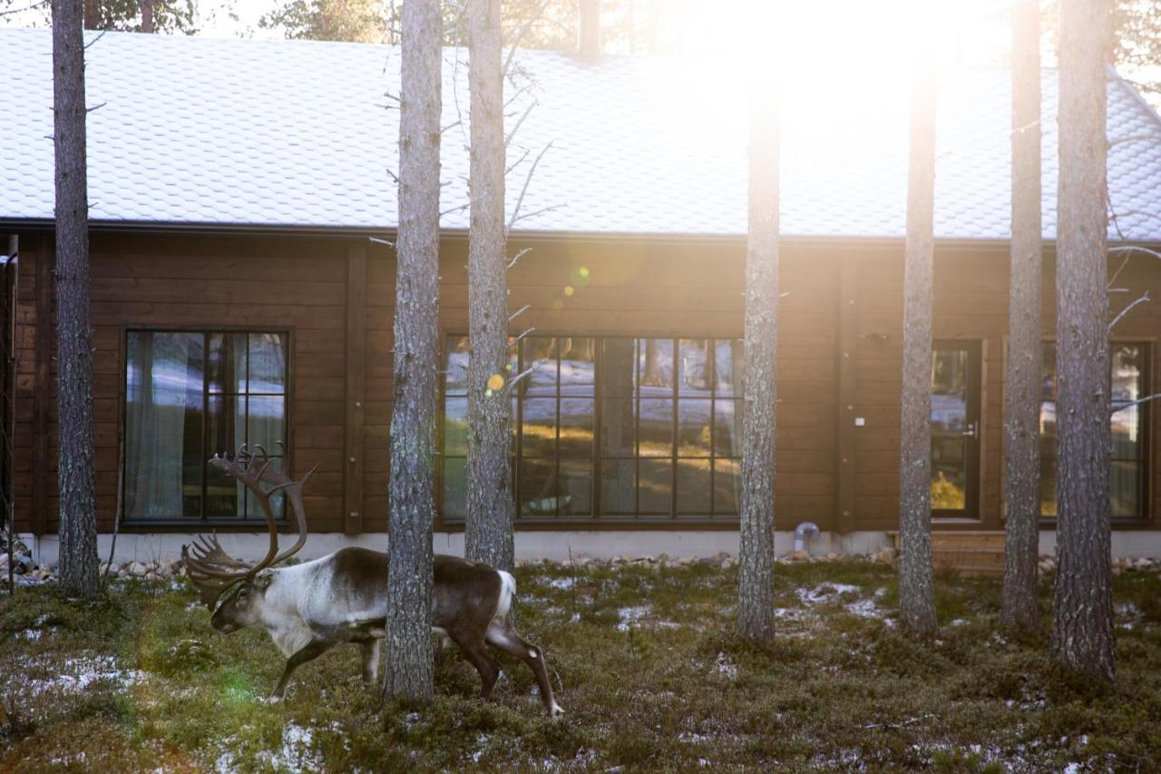 Raanakka House - Premium Villa At Levi Eksteriør bilde