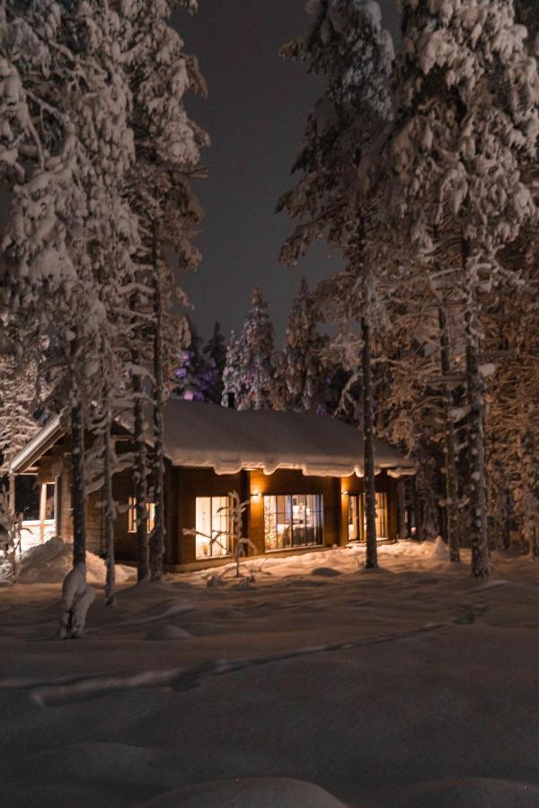 Raanakka House - Premium Villa At Levi Eksteriør bilde