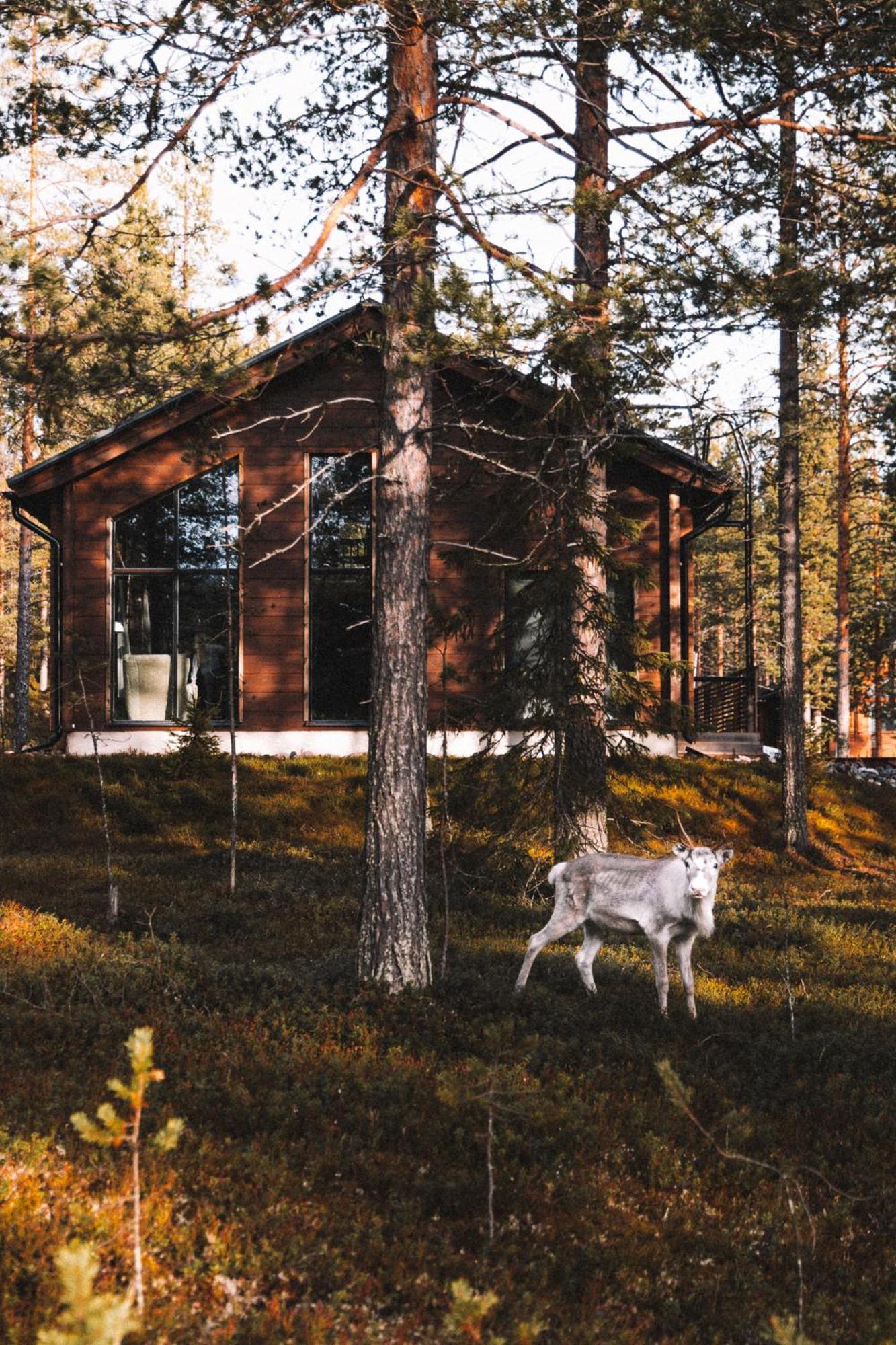 Raanakka House - Premium Villa At Levi Eksteriør bilde